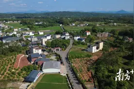 林改激活九连春——连平集体林权改革的破局之道|绿美九连 连平新韵③图片