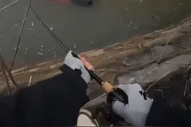 “我不会游泳腿都在抖！”湖南钓鱼佬“钓”起落水大姐，网友：这个钓上来可吹一辈子图片