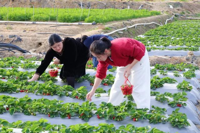 平时不出门，但如果是翔安的果蔬熟了，那我得跑着去！