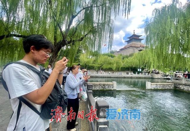 一年四季 泉在济南丨暑假进入后半程 泉水游热度不减