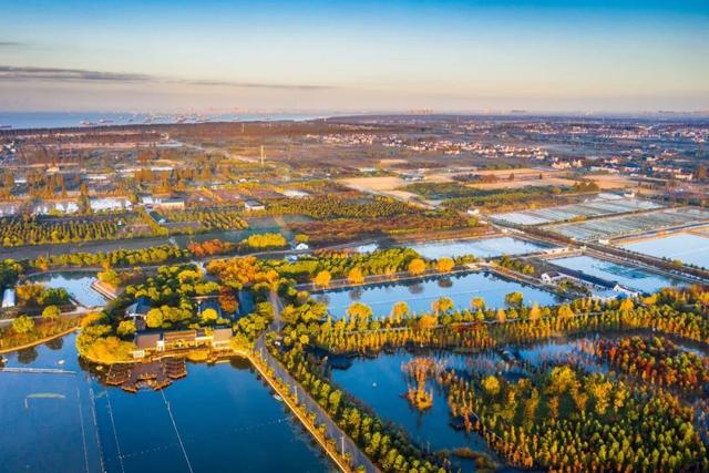 崇明这条旅游线路，赞透赞也~