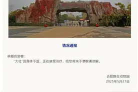 合肥野生动物园国字脸猴“大壮”生病了！图片