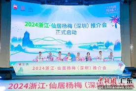 浙江仙居赴大湾区推介杨梅 拓宽市场渠道图片