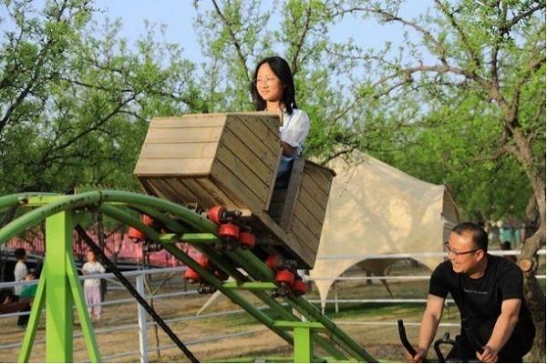稷山国家板枣公园板枣采摘节甜蜜启幕