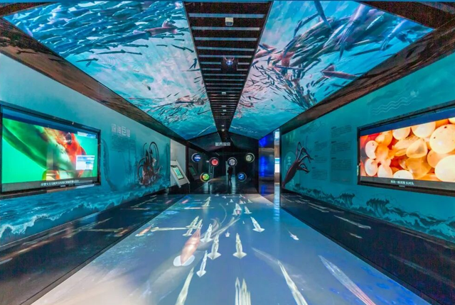 连休五天，浙L大部队已到……