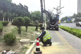 “治根神器”扫平“波浪路”只楚路毛白杨专项整治完成图片