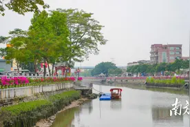 南方观察｜东莞水乡古镇这样推进“百千万工程”图片