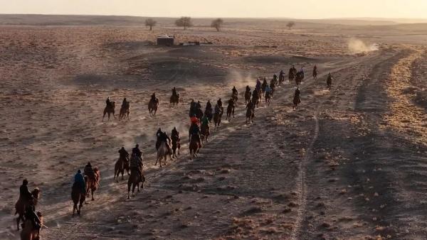 弘扬北疆文化丨燃爆冬日戈壁！150峰骆驼上演戈壁上的速度与激情