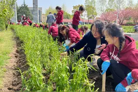 春风十里，不如这10个故事暖心！图片