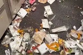 新航事故是迫降还是备降？“颠簸”为何会造成严重伤亡？航空界人士分析→图片