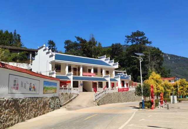 南洋风里飘着的根