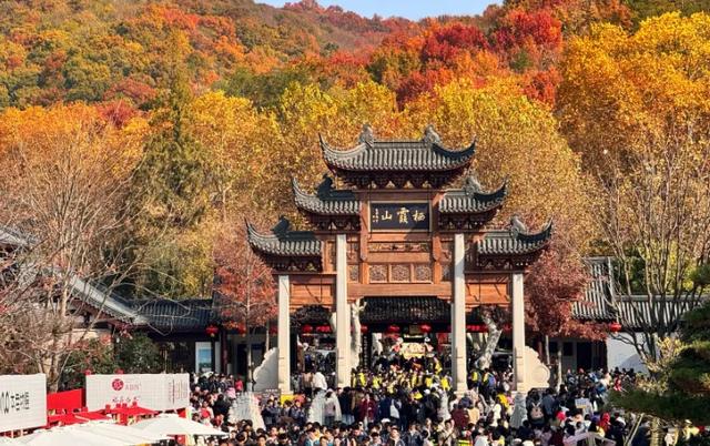 【金陵姑苏两相生】苏A与苏E 二三事~