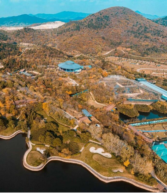 秋游TOP级目的地，就在汤山！