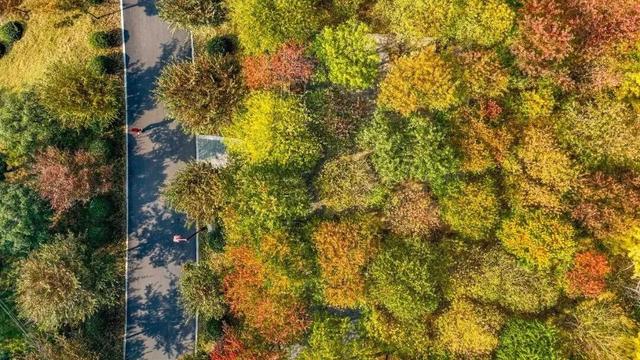 绝绝子！除了绝绝子，我还能怎么夸洛阳