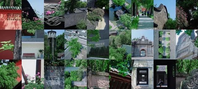 守护千年城厢绿脉！古镇树木复壮及管护升级行动全面展开