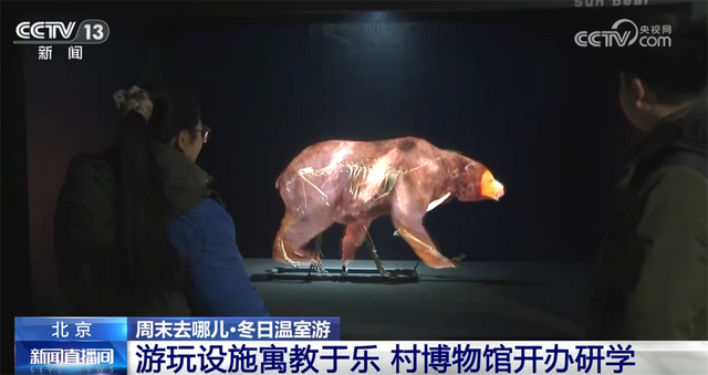 室内游升温、研学游正当时 文旅“热”让“冬日经济”多点开花、活力迸发