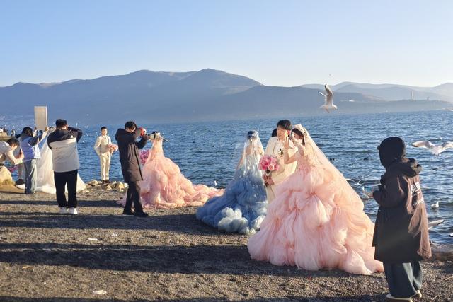看日出、追红嘴鸥、拍婚纱……总要去一次大理龙龛码头吧！