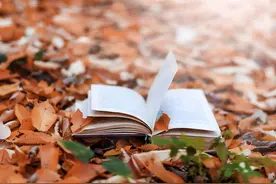 写作|99本日记图片