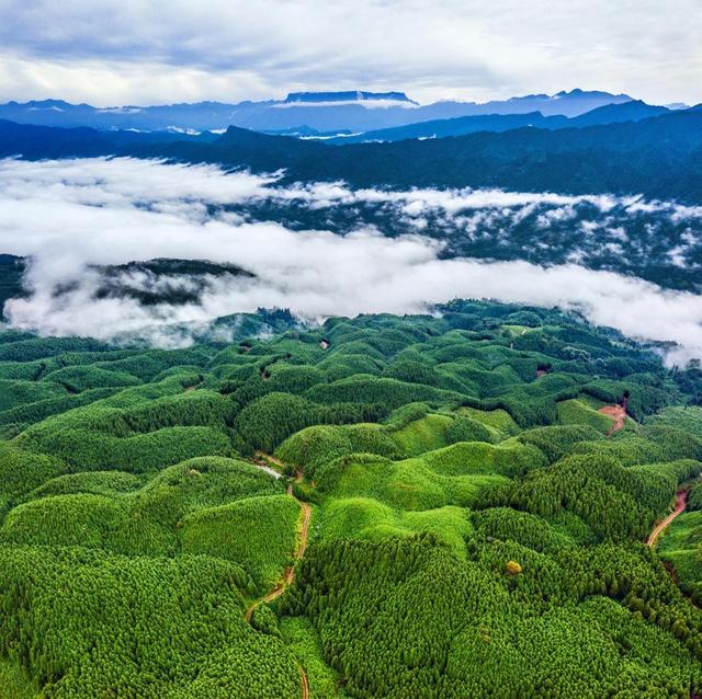 锦绣天府·安逸四川｜四川洪雅：享受自然与人文的美妙旅程