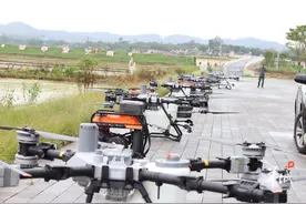 1台机=60人！广州从化“两热”防控、粮食植保迈入“无人化”新模式图片