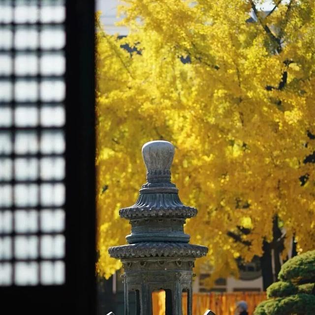 免票、特惠！一大波普陀文旅优惠活动上线→