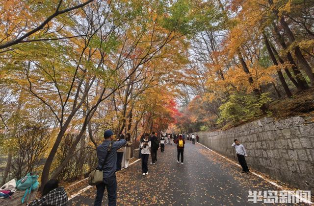 北九水网红路，周末打卡人气高！