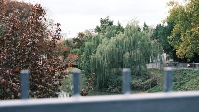域见上海·域见奉贤｜奉浦秋日限定！这三条宝藏路线，承包所有秋日浪漫，刷爆朋友圈就靠它