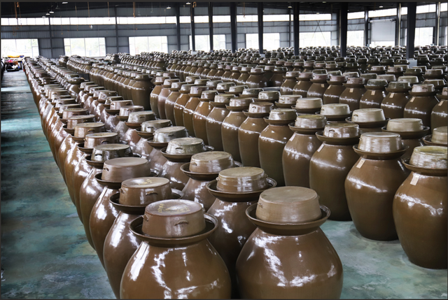 来这里！东坡工业研学“酸爽”出圈！