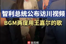 智利总统公布访川视频BGM两度用王嘉尔的歌，网友：这是“真爱粉”无疑了图片