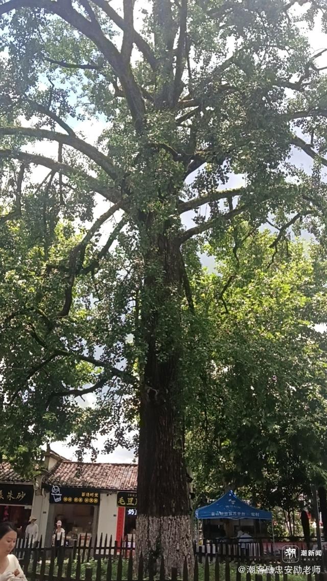 写点生活｜再次探寻陀头山：忆父辈的坚守与奉献