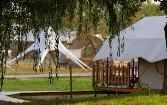 谁说初冬只有萧瑟？来太白湖新区解锁绚烂生机打卡地