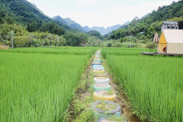 露营烧烤、徒步垂钓……闽侯生态营地+1！