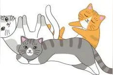 上海警方侦破一起假冒品牌宠物驱虫用品案图片