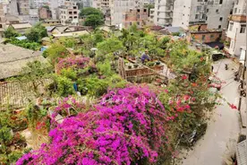 很多人慕名参观！州珮一居民家楼顶变成“空中花园”图片