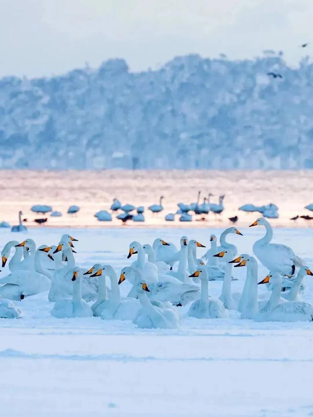 雪落山海，一城冬色入画来~
