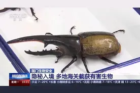 @铲屎官们，养“异宠”也可能危害国家安全，这些行为违法了图片