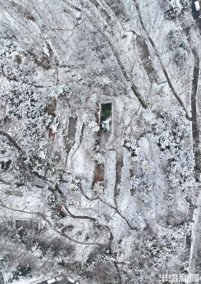 这雪景，简直就是送给青岛人的周末惊喜！