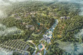 首批40只！北京大熊猫基地计划明年开园！图片