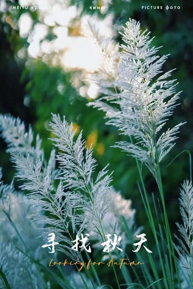 属于福安人的第一场“雪”来了！