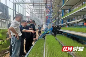 退役军人创业故事丨 林小明和他的育秧“梦”工厂图片