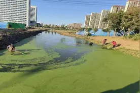 开展河道清淤除杂行动 助力社区人居环境提升图片