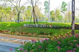 注意！深圳这25种犬禁养图片