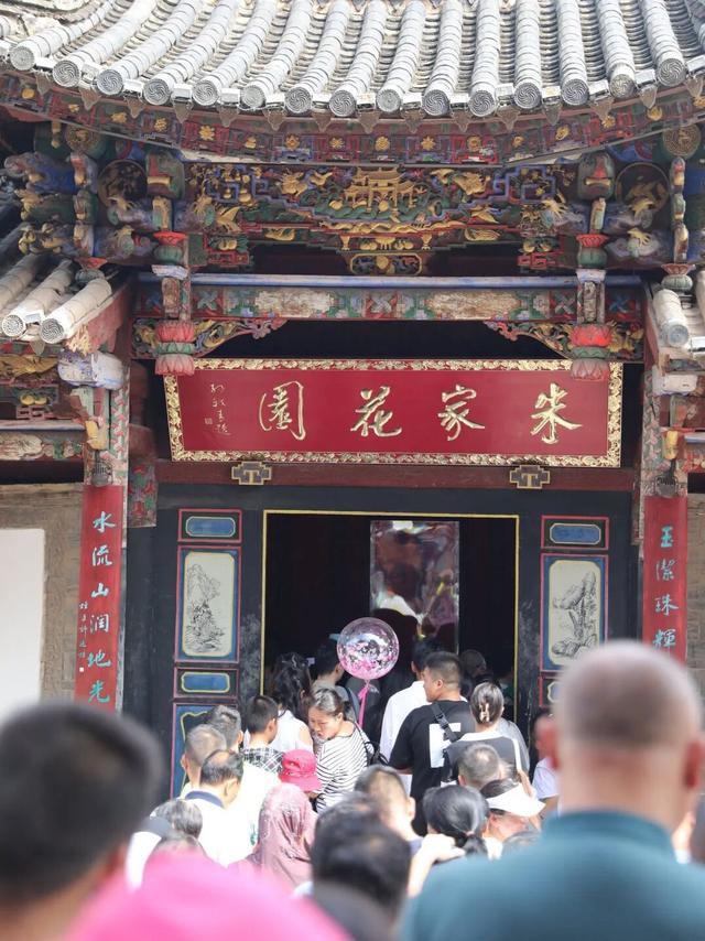 时速仅25公里！观光米轨小火车火了！