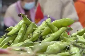 提醒！蚕豆虽美味，但这类人群千万不能吃图片