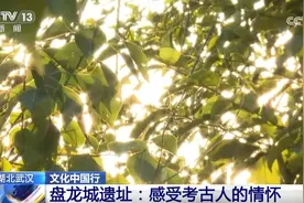 文化中国行｜在盘龙城遗址感受考古人情怀 将3500年光阴直接打通图片