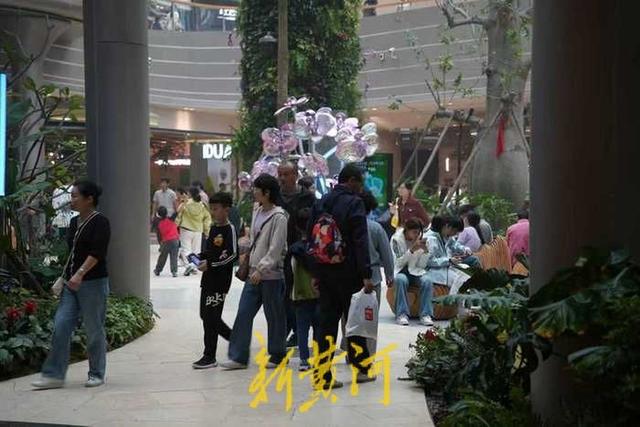 雨天难挡鹊山生态文化区游园情，游客尽享“鹊华烟雨”诗意