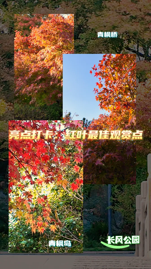 网红纷纷奔赴这！上海这座通往 “欧洲城堡” 的绝美旋梯火了！