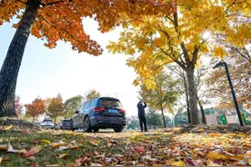 他们都叫它“最有诗意的停车场”图片