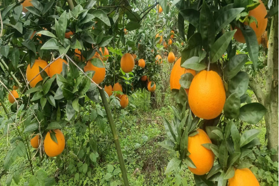 永川“留娃”去处上新→