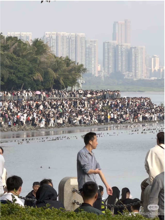 “春运都没这么多人”！深圳知名景区刷屏，网友纷纷“劝退”！